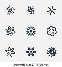 Set Of 9 Simple Rose Icons. Can Be Found Such Elements As Lilac, Pattern, Laurel And Other.