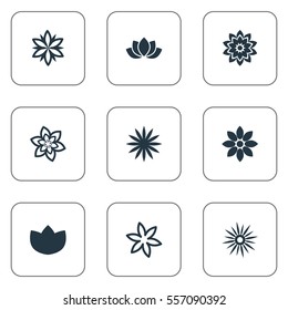 Set Of 9 Simple Rose Icons. Can Be Found Such Elements As Saffron, Narcissus, Water Lily; And Other.
