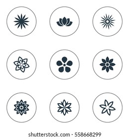 Set Of 9 Simple Rose Icons. Can Be Found Such Elements As Aster, Larkspur, Delphinium And Other.