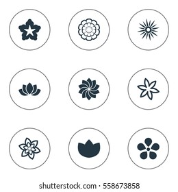 Set Of 9 Simple Rose Icons. Can Be Found Such Elements As Orchids, Peony, Crocus And Other.