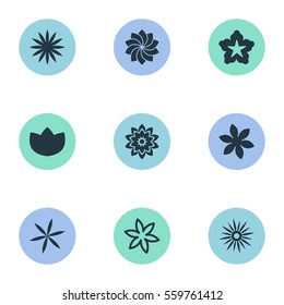 Set Of 9 Simple Rose Icons. Can Be Found Such Elements As Aster, Pattern, Camomile And Other.
