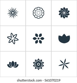 Set Of 9 Simple Rose Icons. Can Be Found Such Elements As Pattern, Orchids, Aster And Other.