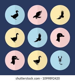 Set of 9 tattoo filled icons such as goose, eagle