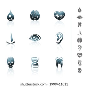 Conjunto de 9 iconos de anatomía vectorial.
