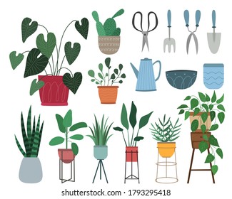 Set of 9 vector houseplants and 7 gardening tools - cultivator, scissors, pots, watering can, pruner. Collection of indoor plants in pots. Home decor. Vector flat illustration. Isolated on white.