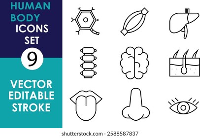 A set of 9 vector icons representing human body parts, including the liver, brain, tongue, nose, eye, skin, muscle, spine, and a hexagonal cell structure