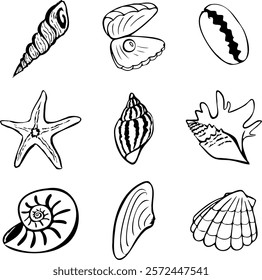 Set of 9 vector seashells, different shell icons in black color, aquatic elements and seafood