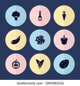 Set of 9 vegetable filled icons such as potato, spinach, carrot, cabbage, pepper, eggplant, cauliflower, oil