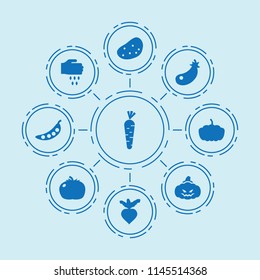 Set of 9 vegetable filled icons such as eggplant, beet, pumpkin, sowing, tomato, potato, pea