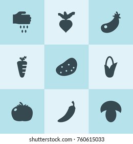 Set of 9 vegetable filled icons such as pepper, mushroom, corn, eggplant, beet, sowing, tomato, carrot