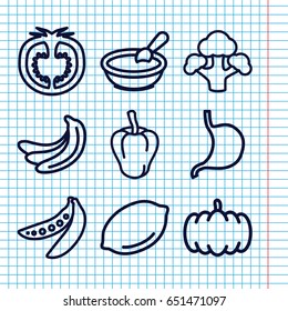 Set of 9 vegetarian outline icons such as pumpkin, banana, pepper, lemon, porridge, stomach, broccoli, tomato