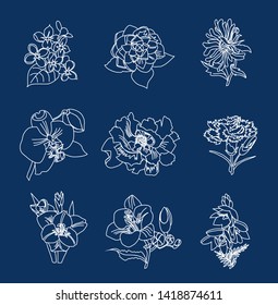 Set of 9 white flowers on a dark blue background. Chalk drawing on blackboard. Eco design for natural decor