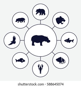 Set of 9 wildlife filled icons such as fish, bear, panther, crab, buffalo, eagle