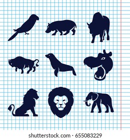 Set of 9 zoo filled icons such as lion, hippopotamus, elephant, buffalo, parrot