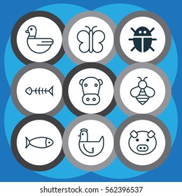 Set Of 9 Zoo Icons. Includes Kine, Beetle, Fish And Other Symbols. Beautiful Design Elements.