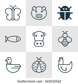Set Of 9 Zoo Icons. Includes Ladybird, Moth, Beetle And Other Symbols. Beautiful Design Elements.