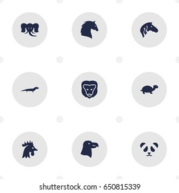 Set Of 9 Zoo Icons Set.Collection Of Rooster, Aquila, Horse And Other Elements.
