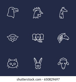 Set Of 9 Zoo Outline Icons Set.Collection Of Giraffe, Cat, Mammal And Other Elements.