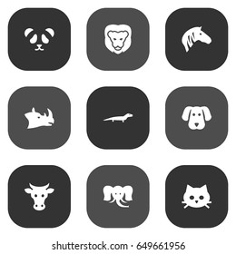 Set Of 9 Zoology Icons Set.Collection Of Pussy, Wildcat, Horse And Other Elements.