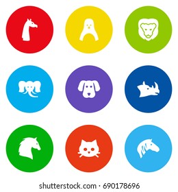 Set Of 9 Zoology Icons Set.Collection Of Hound, Horse, Pussy And Other Elements.