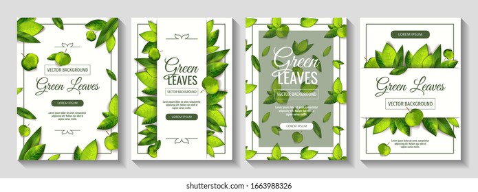 Juego de cartas A4 con hojas verdes frescas sobre el fondo blanco. Ilustraciones vectoriales para invitación, boda, aniversario, tarjeta postal, volante, banner, afiche, portada.