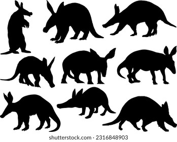 Set of Aardvark Silhouette, Wild Animal