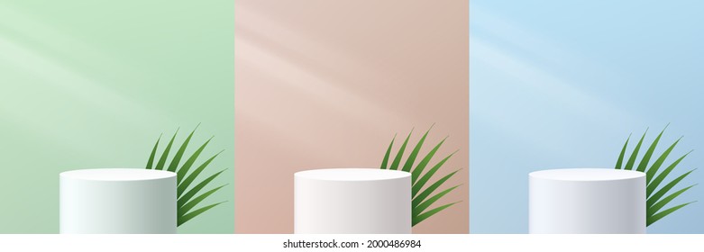 Set of abstract 3D white cylinder pedestal podium with coconut leaf and pastel green, beige and blue wall scene. Modern vector rendering geometric platform for cosmetic product display presentation. 