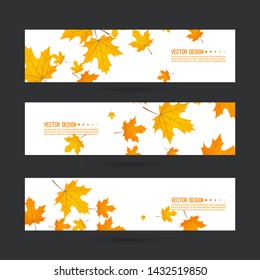 Set of abstract autumn header with yellow leaves of maple. Vector  horizontal footer  with withered foliage.