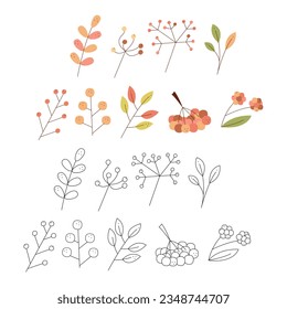 Set of abstract autumn leaves and berries. Black and white and color clipart vector illustration.
