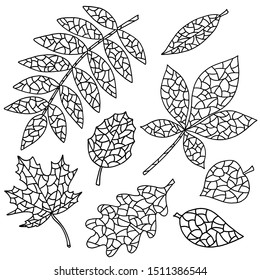 Set of abstract autumn leaves, coloring pages for kids and adults