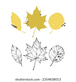 Set of abstract autumn leaves. Vector illustration of dry, fallen leaves. Minimalism. For the design of postcards, textiles, cards, invitations, posters