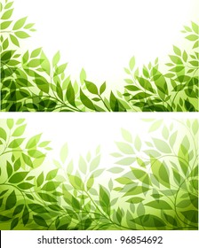 set - abstract background with green sheet