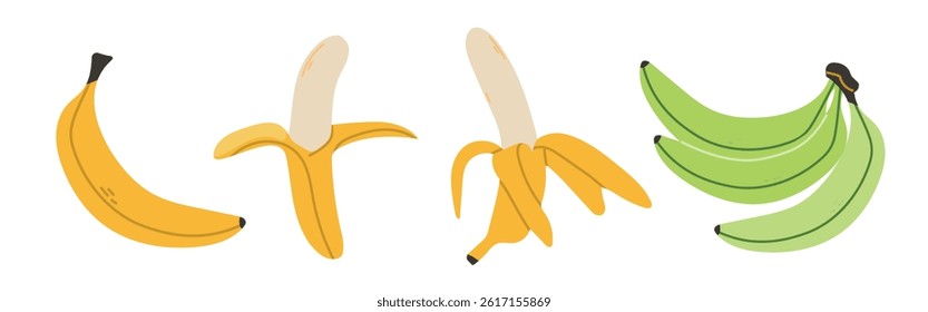 Set of abstract  banana. Simple banana. Organic tropical fruit for juice, smoothie or healthy food.Tropical fruit collection design for interior, poster, banner.Vector illustration on white background
