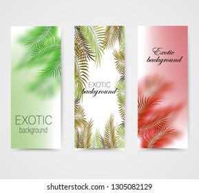 
Set of abstract banners with shadow, on the background of palm leaves