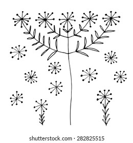 Set of abstract black hand drawn dandelion blowball flowers in doodle style. Vector Illustration EPS10.