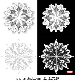 set of abstract black white snowflake. vector