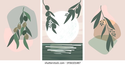 Set of abstract boho minimalistic contemporary still lifes, landscape. Branches and flowers of olive plants. Summer, sun in Greece, oil. Vector graphics.