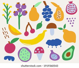 Set of abstract botanical elements. Tropical fruits in a simple minimalist style.  Elements for the design are hand drawn. Decorative isolated illustrations for textiles and prints. Vector flat.