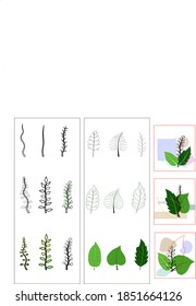  Satz abstrakter botanischer Blätter
