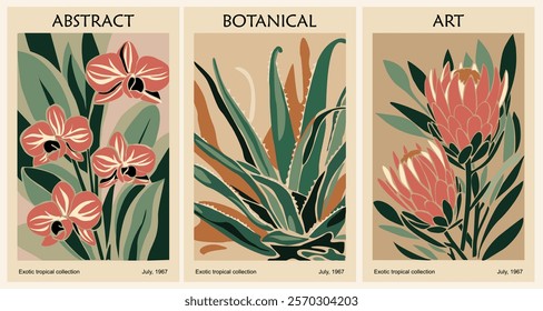 Set of Abstract botanical poster in retro mid century modern style. Agave, Orchid, Protea flowers vector art illustrations