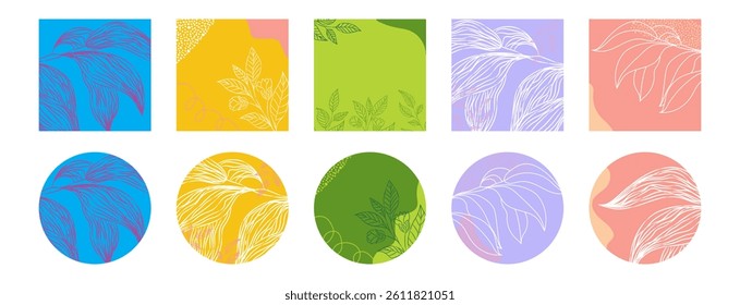 Set of abstract botanical templates. Minimalist leaves and floral line art in square and round shapes. For social media, branding, and modern design projects.