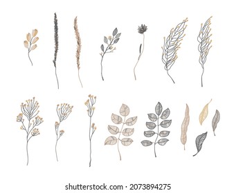 Set of abstract branches with flowers and leaves, herbs and leaves. Modern trendy line illustrations in dark gray and golden colors. Pretty floral vector decorations isolated on white background.