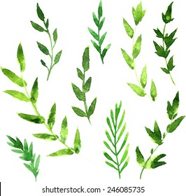 set of abstract branches with green leaves drawing by watercolor, hand drawn vector elements