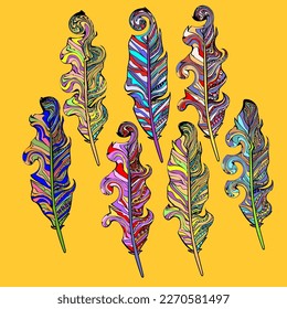 Set of abstract bright feathers