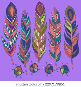 Set of abstract bright feathers .