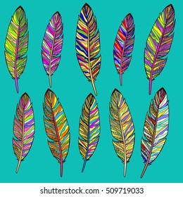 Set of abstract bright  feathers .