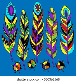 Set of abstract bright feathers .