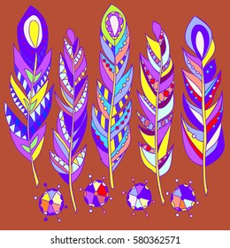 Set of abstract bright feathers .