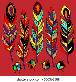 Set of abstract bright feathers .