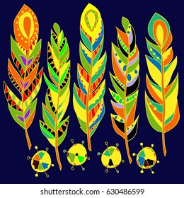 Set of abstract bright feathers .
